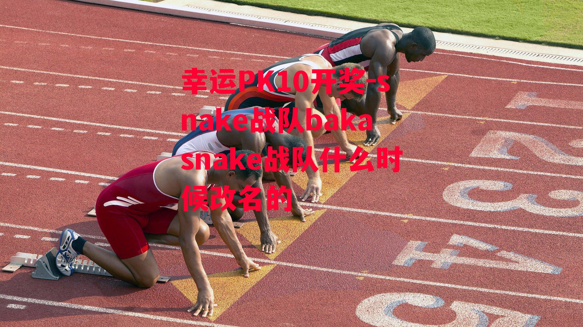 snake战队bakasnake战队什么时候改名的